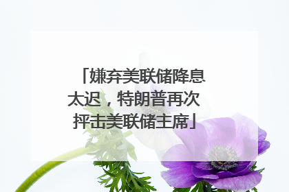 嫌弃美联储降息太迟，特朗普再次抨击美联储主席