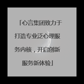 心言集团致力于打造专业泛心理服务内核，开启创新服务新体验