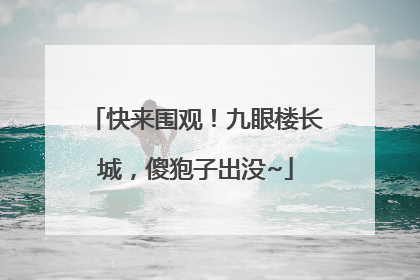 快来围观！九眼楼长城，傻狍子出没~