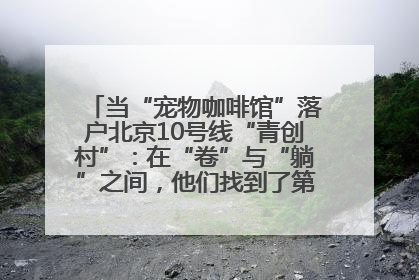 当“宠物咖啡馆”落户北京10号线“青创村”：在“卷”与“躺”之间，他们找到了第三种生活公式