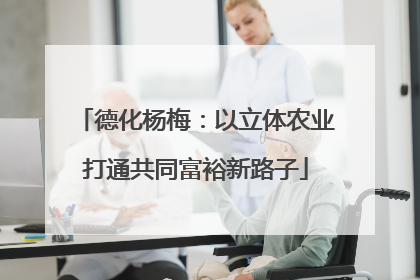 德化杨梅：以立体农业打通共同富裕新路子