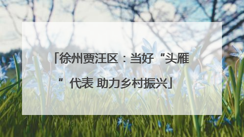 徐州贾汪区：当好“头雁”代表 助力乡村振兴