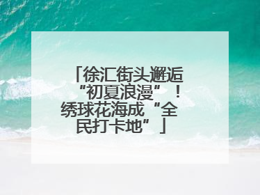 徐汇街头邂逅“初夏浪漫”！绣球花海成“全民打卡地”