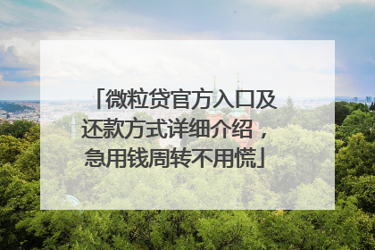 微粒贷官方入口及还款方式详细介绍，急用钱周转不用慌