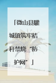 微山县驩城镇筑牢秸秆禁烧“防护网”
