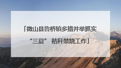 微山县鲁桥镇多措并举抓实 “三夏” 秸秆禁烧工作