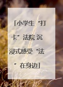 小学生“打卡”法院 沉浸式感受“法”在身边