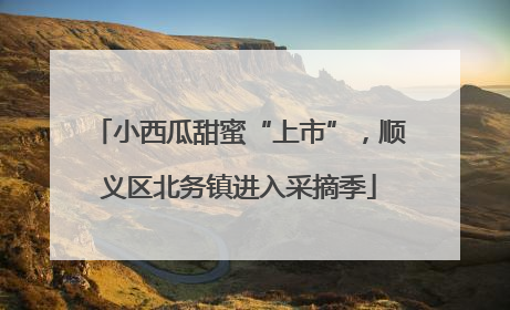 小西瓜甜蜜“上市”，顺义区北务镇进入采摘季
