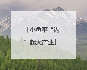 小鱼竿“钓”起大产业