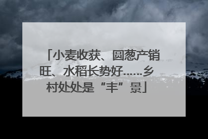 小麦收获、圆葱产销旺、水稻长势好……乡村处处是“丰”景