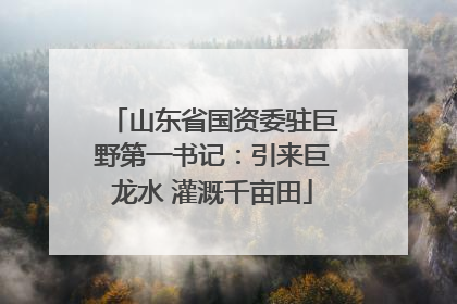 山东省国资委驻巨野第一书记：引来巨龙水 灌溉千亩田