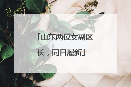 山东两位女副区长，同日履新