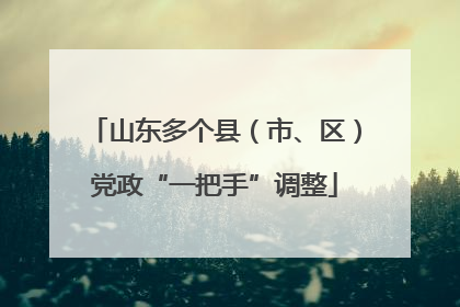 山东多个县（市、区）党政“一把手”调整
