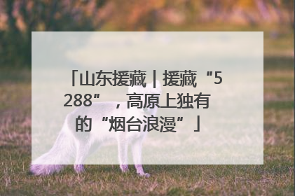 山东援藏｜援藏“5288”，高原上独有的“烟台浪漫”