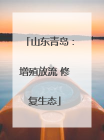 山东青岛：增殖放流 修复生态