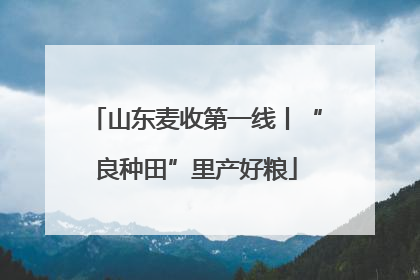 山东麦收第一线丨“良种田”里产好粮