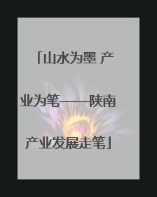 山水为墨 产业为笔——陕南产业发展走笔