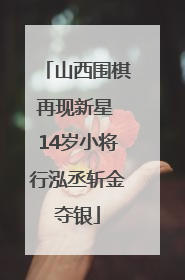 山西围棋再现新星 14岁小将行泓丞斩金夺银