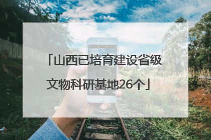 山西已培育建设省级文物科研基地26个