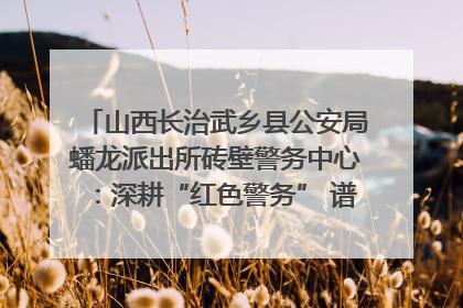 山西长治武乡县公安局蟠龙派出所砖壁警务中心：深耕“红色警务” 谱写“平安答卷”