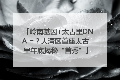 岭南基因+太古里DNA =？大湾区首座太古里年底揭秘“首秀”
