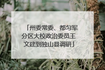 州委常委、都匀军分区大校政治委员王文建到独山县调研