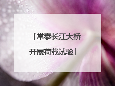 常泰长江大桥开展荷载试验