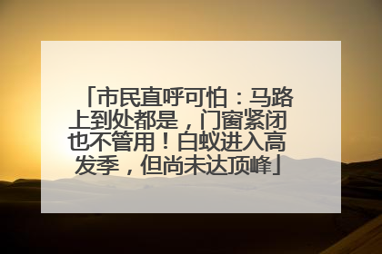 市民直呼可怕：马路上到处都是，门窗紧闭也不管用！白蚁进入高发季，但尚未达顶峰