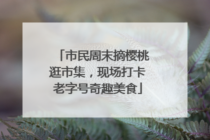 市民周末摘樱桃逛市集，现场打卡老字号奇趣美食