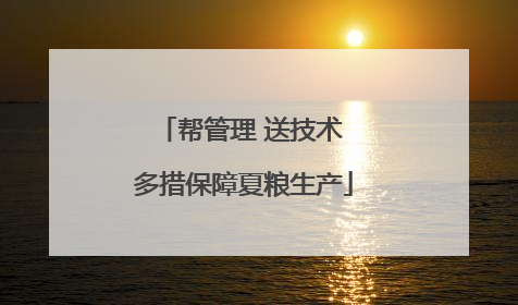帮管理 送技术 多措保障夏粮生产