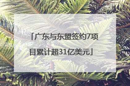 广东与东盟签约7项目累计超31亿美元