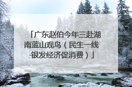 广东赵伯今年三赴湖南蓝山观鸟（民生一线·银发经济促消费）