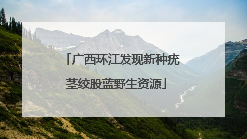 广西环江发现新种疣茎绞股蓝野生资源