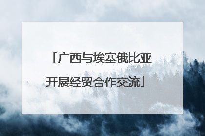广西与埃塞俄比亚开展经贸合作交流