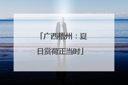 广西梧州：夏日赏荷正当时