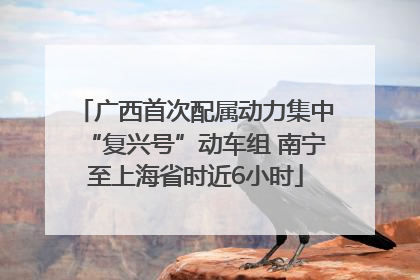 广西首次配属动力集中“复兴号”动车组 南宁至上海省时近6小时