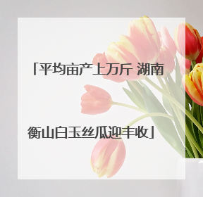 平均亩产上万斤 湖南衡山白玉丝瓜迎丰收