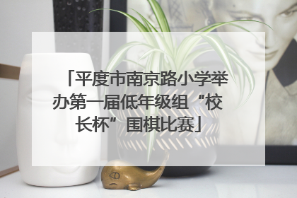 平度市南京路小学举办第一届低年级组“校长杯”围棋比赛