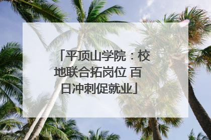 平顶山学院：校地联合拓岗位 百日冲刺促就业