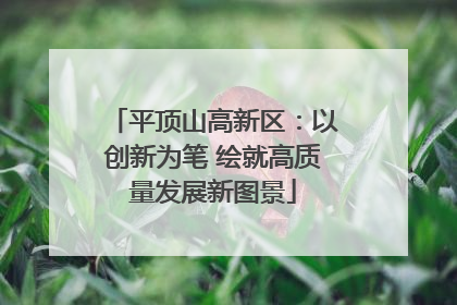 平顶山高新区：以创新为笔 绘就高质量发展新图景