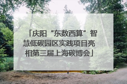 庆阳“东数西算”智慧低碳园区实践项目亮相第三届上海碳博会