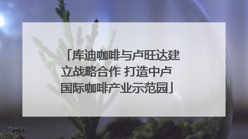 库迪咖啡与卢旺达建立战略合作 打造中卢国际咖啡产业示范园