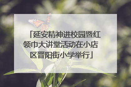 延安精神进校园暨红领巾大讲堂活动在小店区晋阳街小学举行