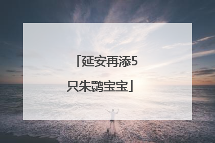 延安再添5只朱鹮宝宝