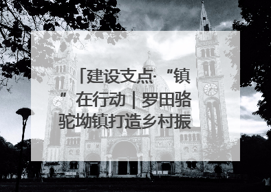 建设支点·“镇”在行动｜罗田骆驼坳镇打造乡村振兴新样板