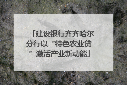 建设银行齐齐哈尔分行以“特色农业贷”激活产业新动能