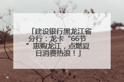 建设银行黑龙江省分行：龙卡“66节”惠购龙江，点燃夏日消费热浪！
