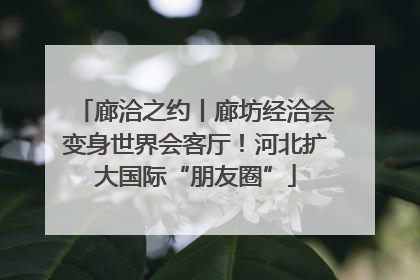 廊洽之约丨廊坊经洽会变身世界会客厅！河北扩大国际“朋友圈”