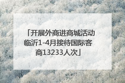 开展外商进商城活动 临沂1-4月接待国际客商13233人次