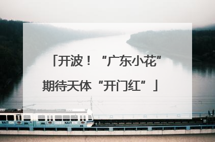 开波！“广东小花”期待天体“开门红”